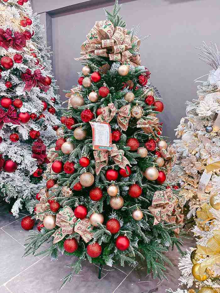 3 cây thông để trang trí noel