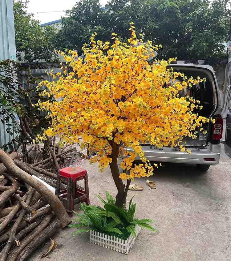 Vận chuyển cây mai giả cho khách hàng