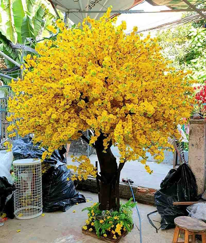 cây mai giả lớn trưng tết đẹp cho sảnh chung cư