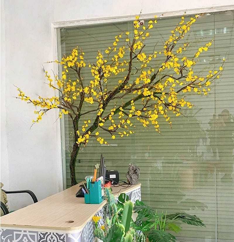 cây mai giả trưng tết trong văn phòng