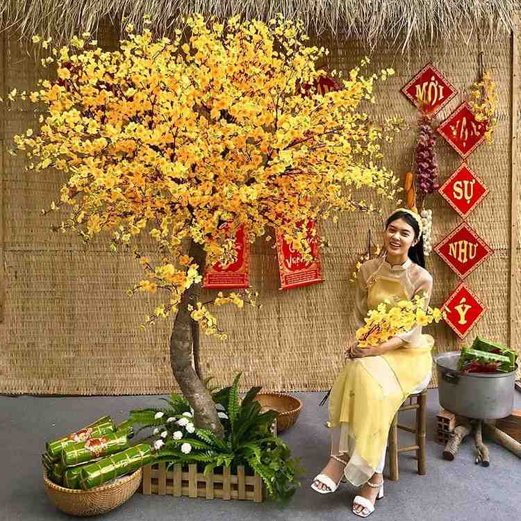 cô gái chụp bên cây mai giả và tiểu cảnh tết