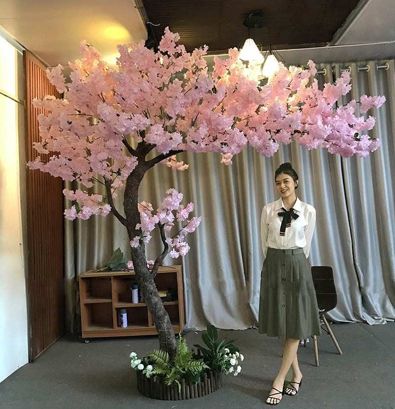 cô gái chụp bên cây đào giả văn phòng