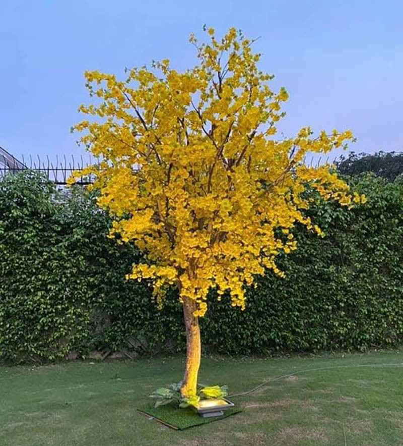 cây mai giả cao 3m trưng Tết trang trí resort, khu du lịch