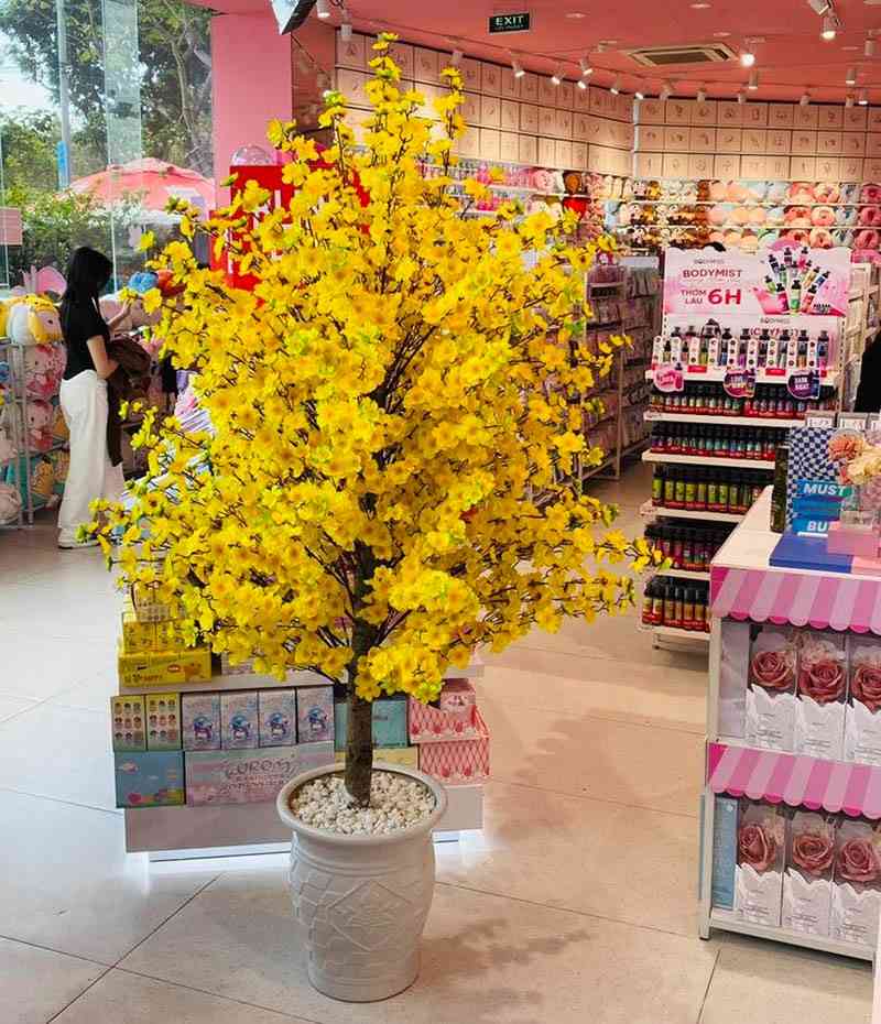 Cây mai giả trưng Tết tại siêu thị, cửa hàng