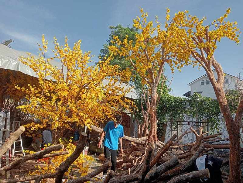 Kho xưởng làm cây mai giả tại Will Event