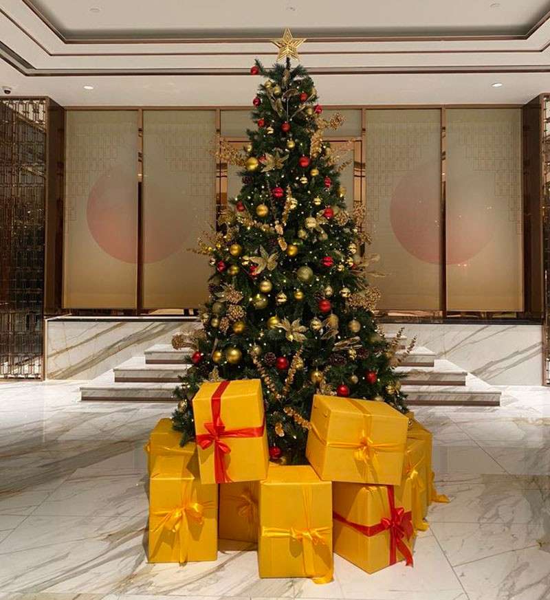Cây thông noel