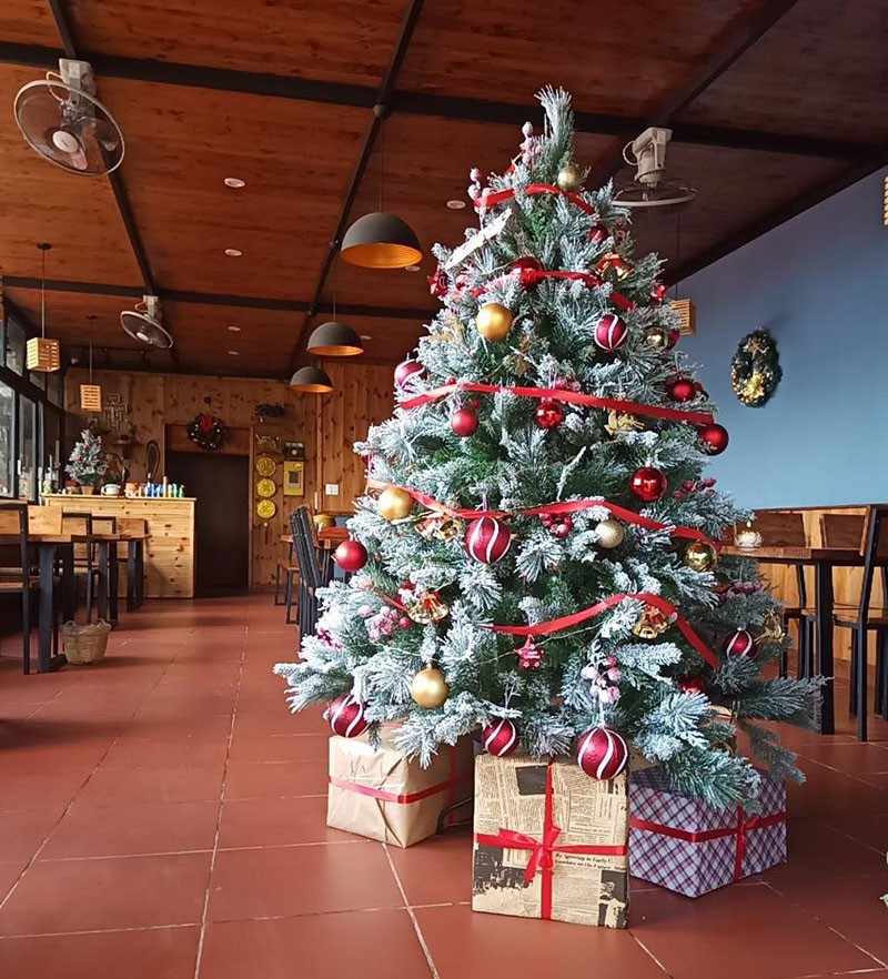 Cây thông noel trang trí quán cà phê