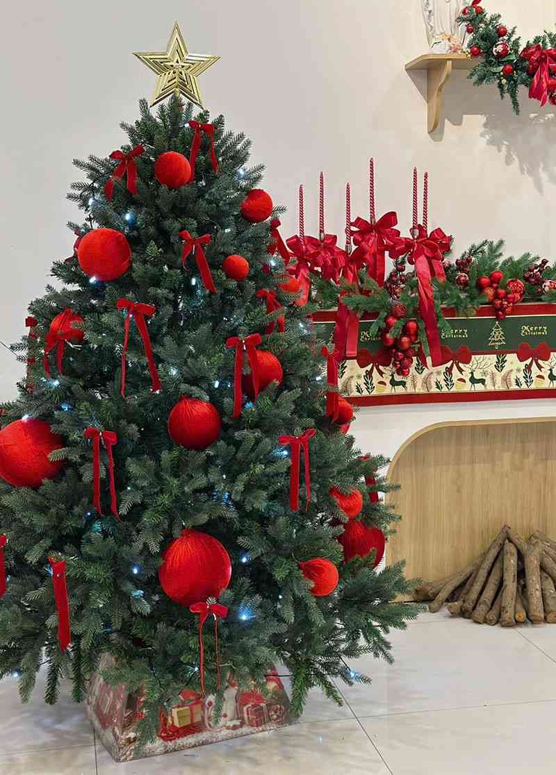 Cây thông noel