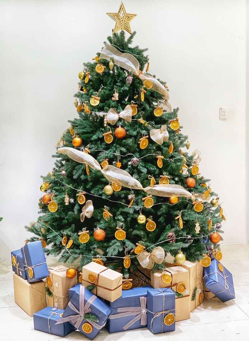 Trang trí cây thông noel vỏ cam