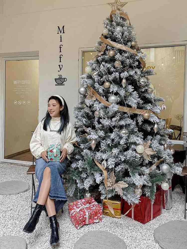 Cô gái đang chụp ảnh bên trang trí cây thông noel
